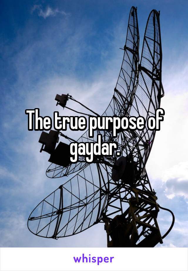 The true purpose of gaydar.