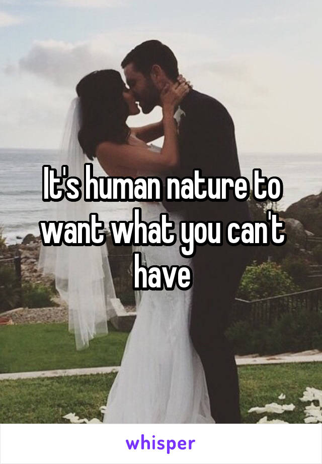 It's human nature to want what you can't have