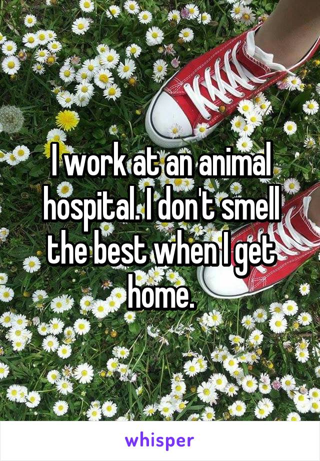 I work at an animal hospital. I don't smell the best when I get home.