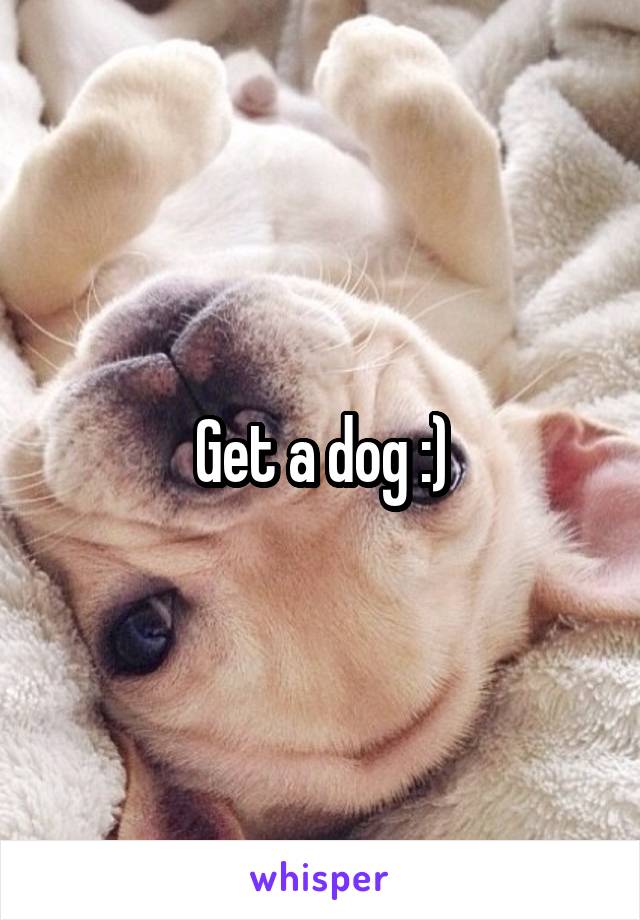 Get a dog :)