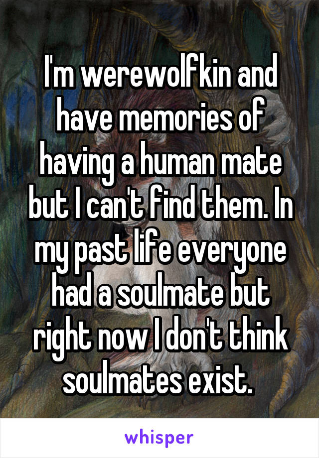 I'm werewolfkin and have memories of having a human mate but I can't find them. In my past life everyone had a soulmate but right now I don't think soulmates exist. 