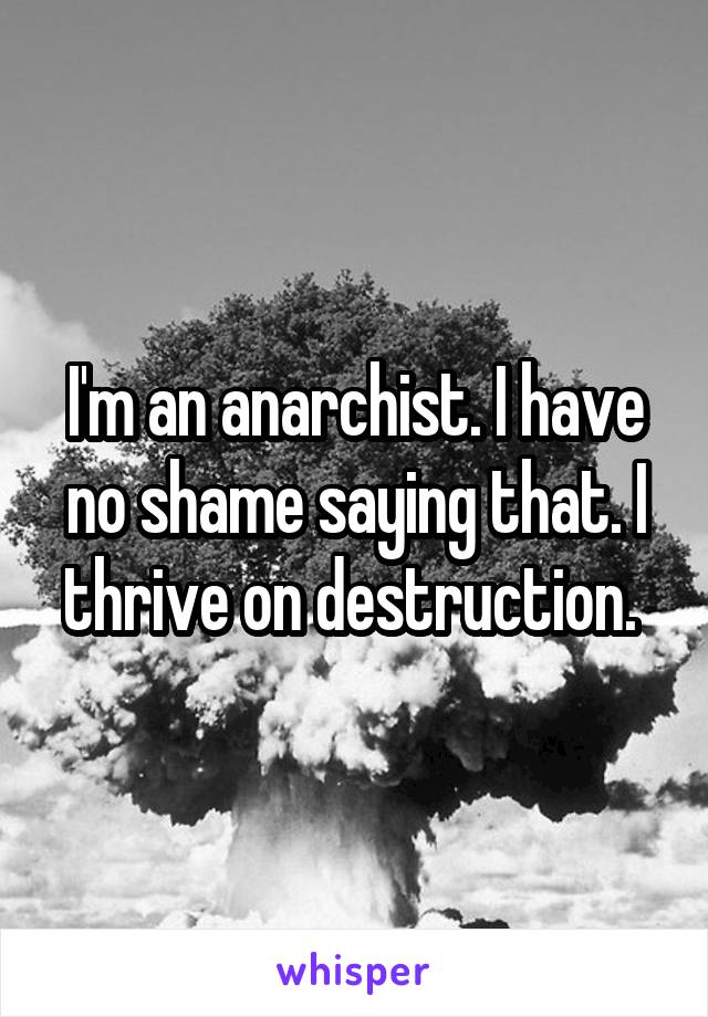 I'm an anarchist. I have no shame saying that. I thrive on destruction. 