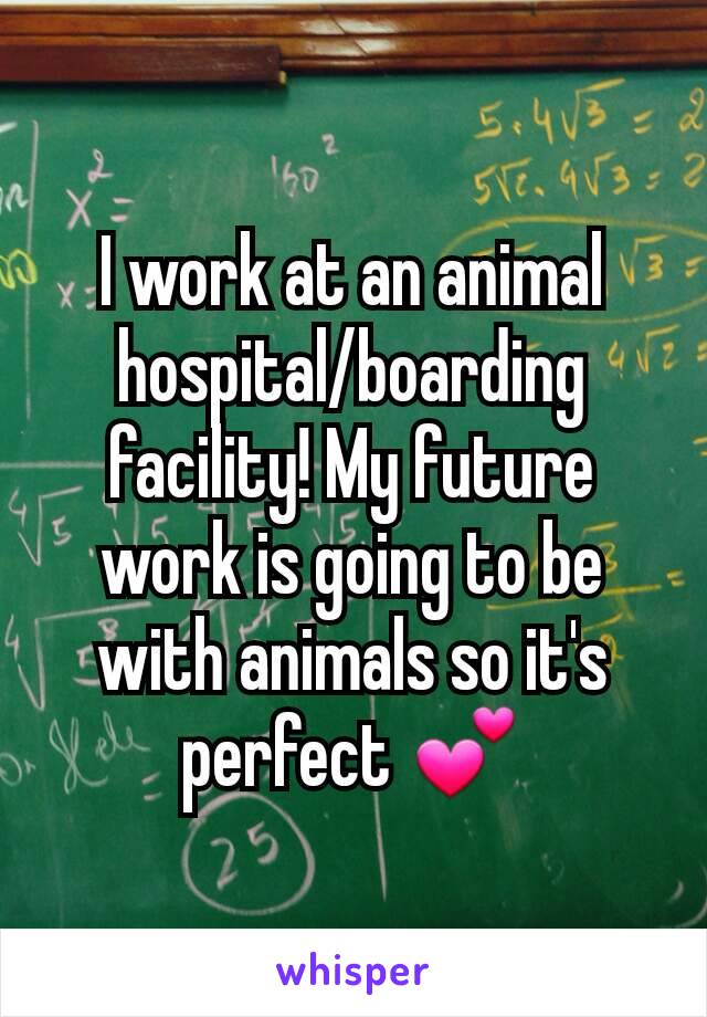 I work at an animal hospital/boarding facility! My future work is going to be with animals so it's perfect 💕