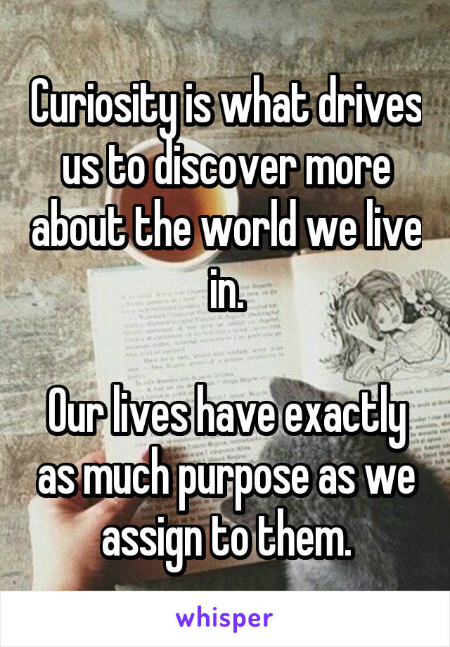 Curiosity is what drives us to discover more about the world we live in.

Our lives have exactly as much purpose as we assign to them.