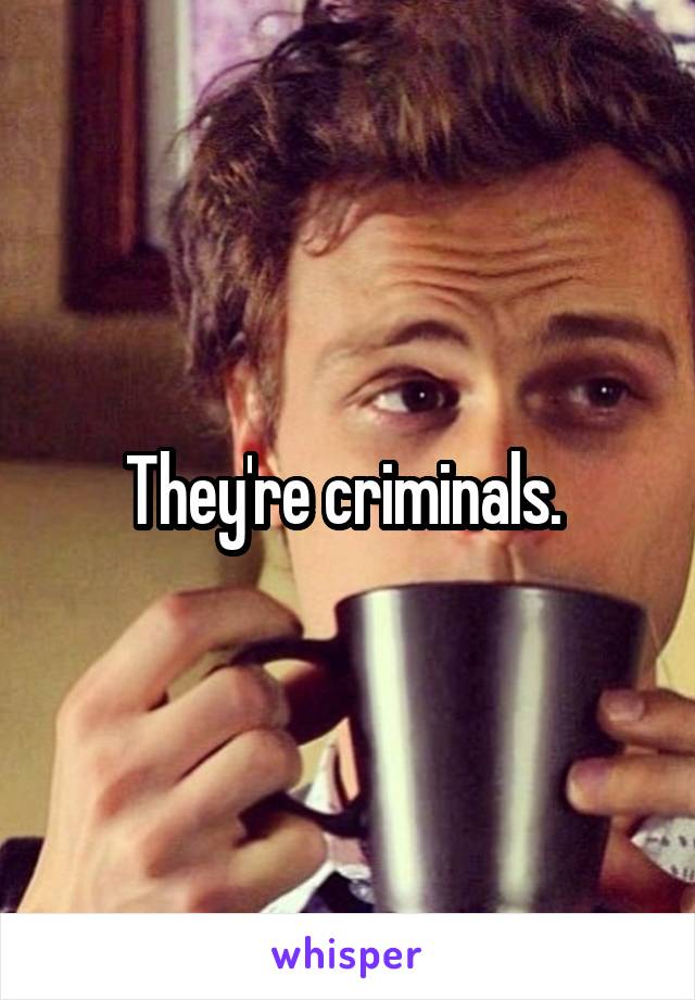 They're criminals. 