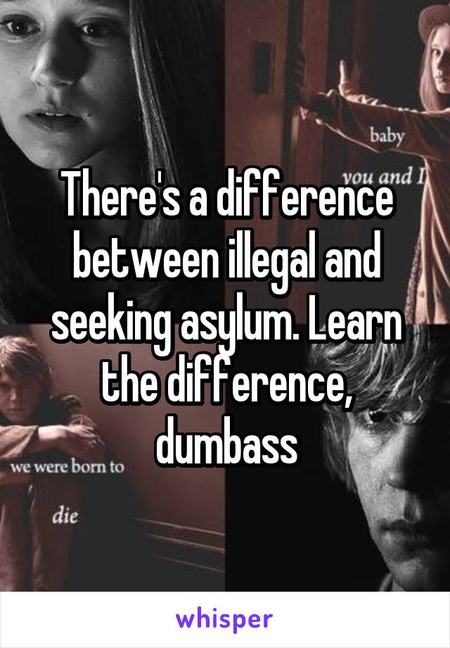 There's a difference between illegal and seeking asylum. Learn the difference, dumbass