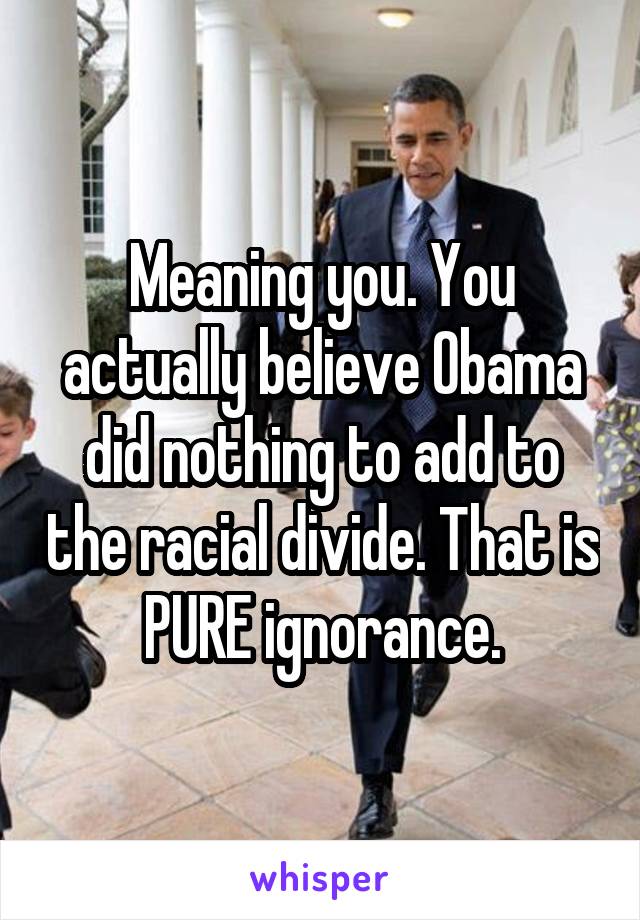 Meaning you. You actually believe Obama did nothing to add to the racial divide. That is PURE ignorance.