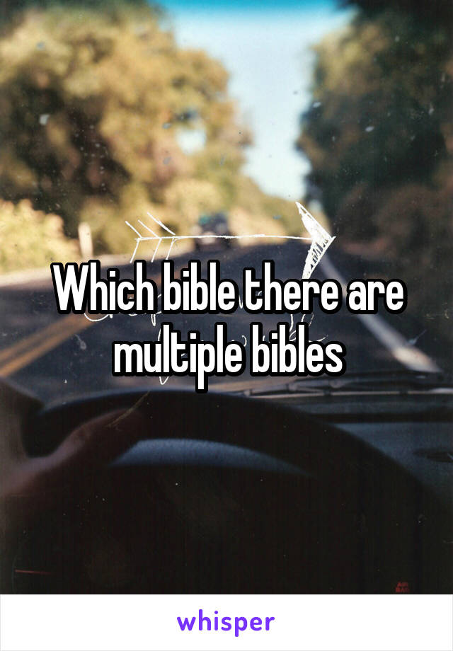 Which bible there are multiple bibles