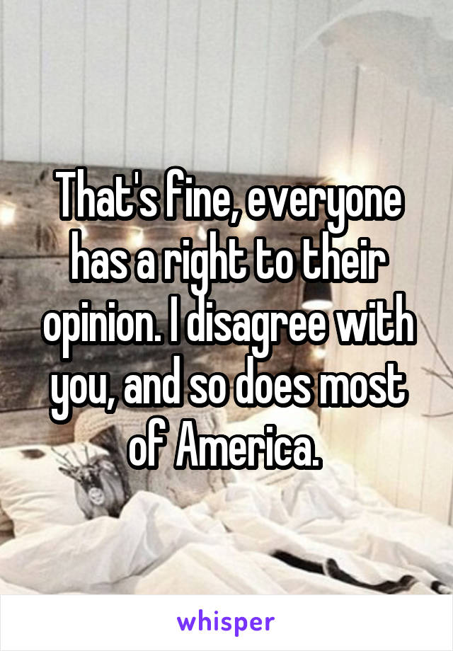 That's fine, everyone has a right to their opinion. I disagree with you, and so does most of America. 
