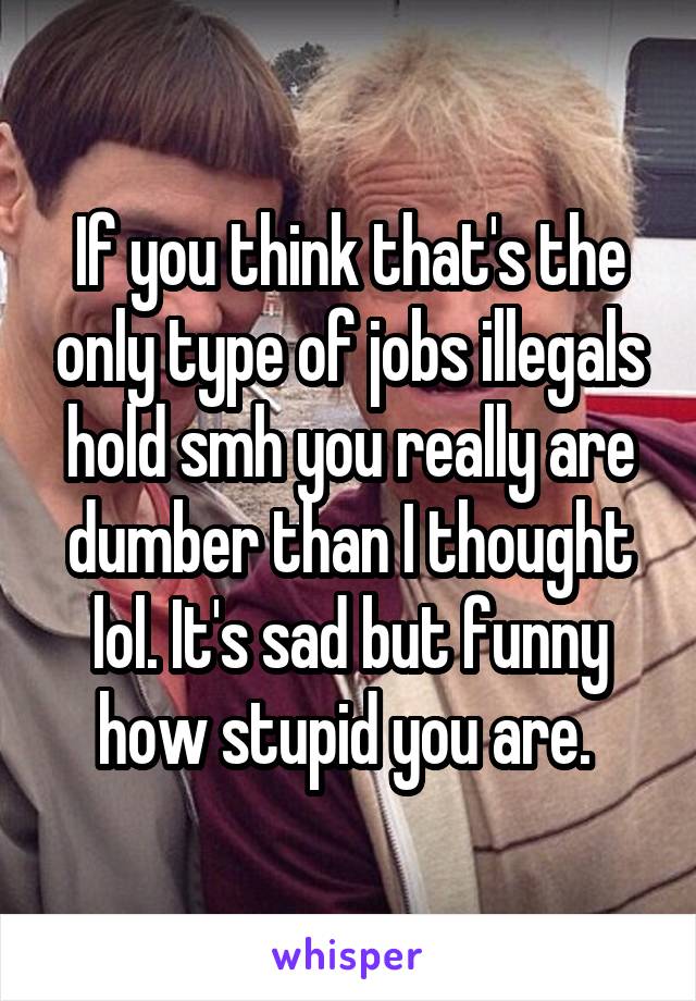 If you think that's the only type of jobs illegals hold smh you really are dumber than I thought lol. It's sad but funny how stupid you are. 