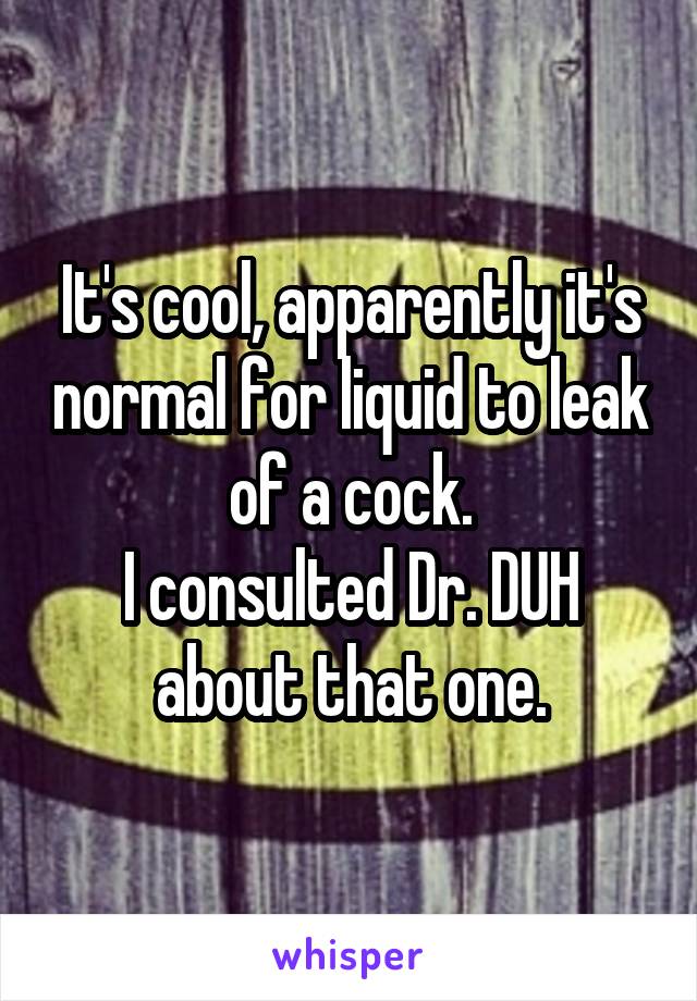 It's cool, apparently it's normal for liquid to leak of a cock.
I consulted Dr. DUH about that one.