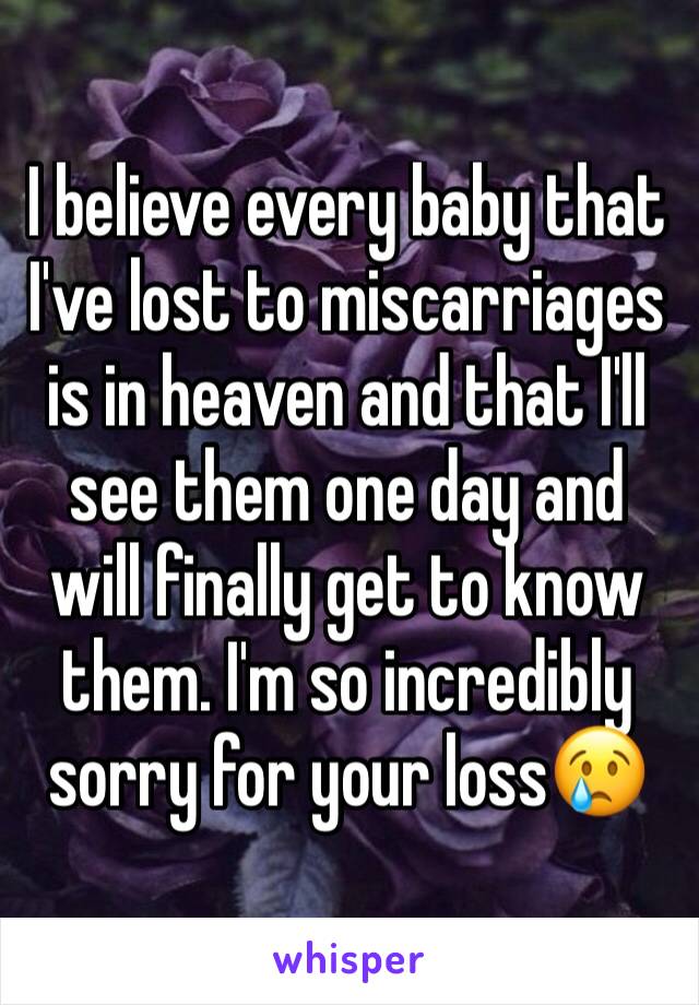 I believe every baby that I've lost to miscarriages is in heaven and that I'll see them one day and will finally get to know them. I'm so incredibly sorry for your loss😢