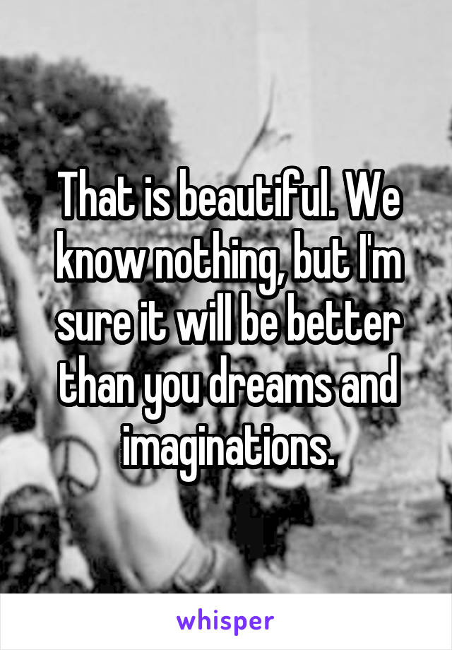 That is beautiful. We know nothing, but I'm sure it will be better than you dreams and imaginations.