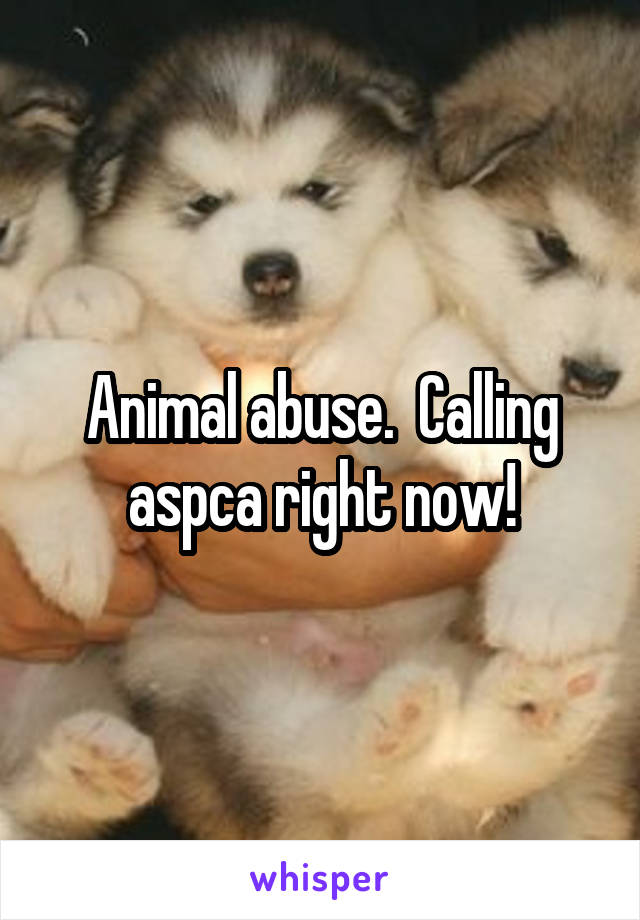 Animal abuse.  Calling aspca right now!