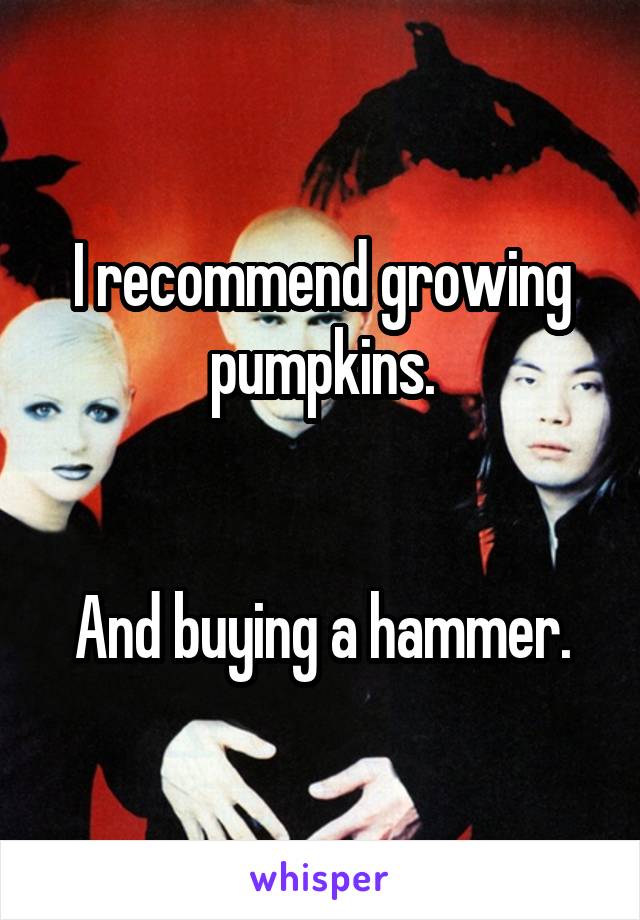 I recommend growing pumpkins.


And buying a hammer.