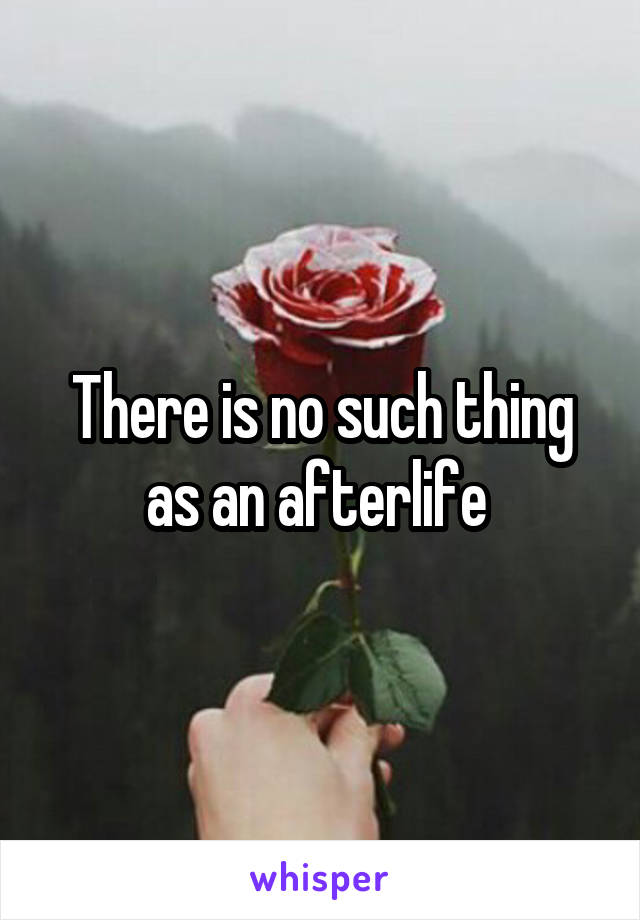 There is no such thing as an afterlife 