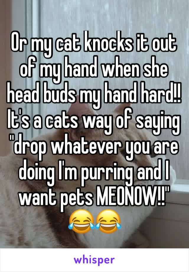 Or my cat knocks it out of my hand when she head buds my hand hard!! It's a cats way of saying "drop whatever you are doing I'm purring and I want pets MEONOW!!" 😂😂