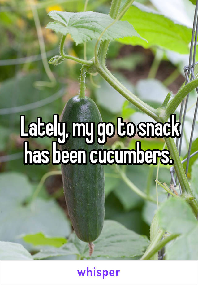 Lately, my go to snack has been cucumbers. 