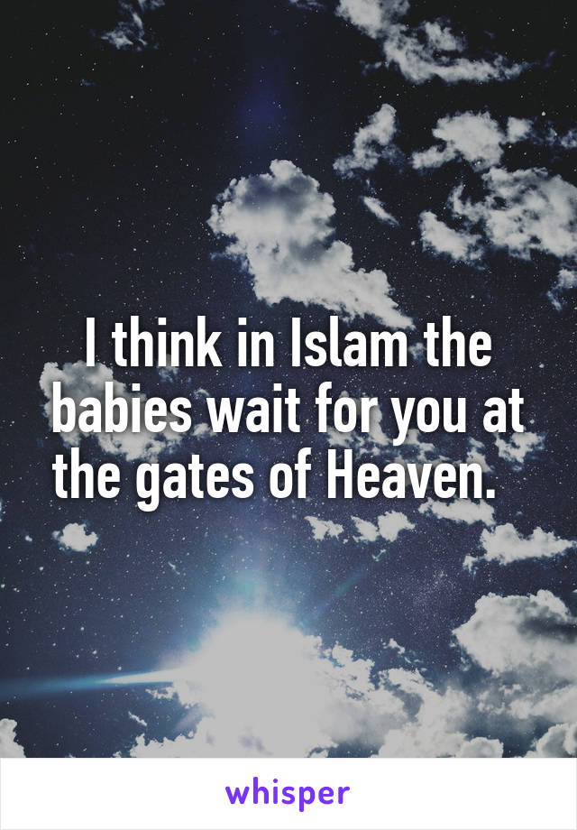 I think in Islam the babies wait for you at the gates of Heaven.  
