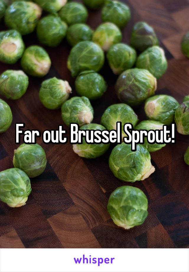 Far out Brussel Sprout!