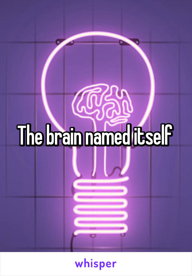 The brain named itself 