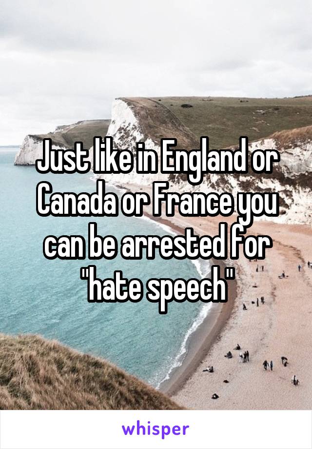 Just like in England or Canada or France you can be arrested for "hate speech"