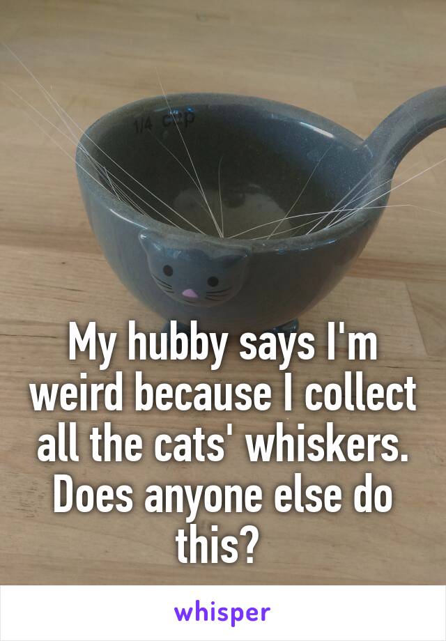 




My hubby says I'm weird because I collect all the cats' whiskers. Does anyone else do this? 