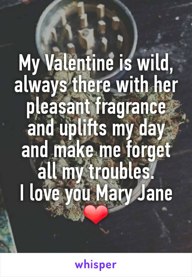 My Valentine is wild, always there with her pleasant fragrance and uplifts my day and make me forget all my troubles.
I love you Mary Jane
❤