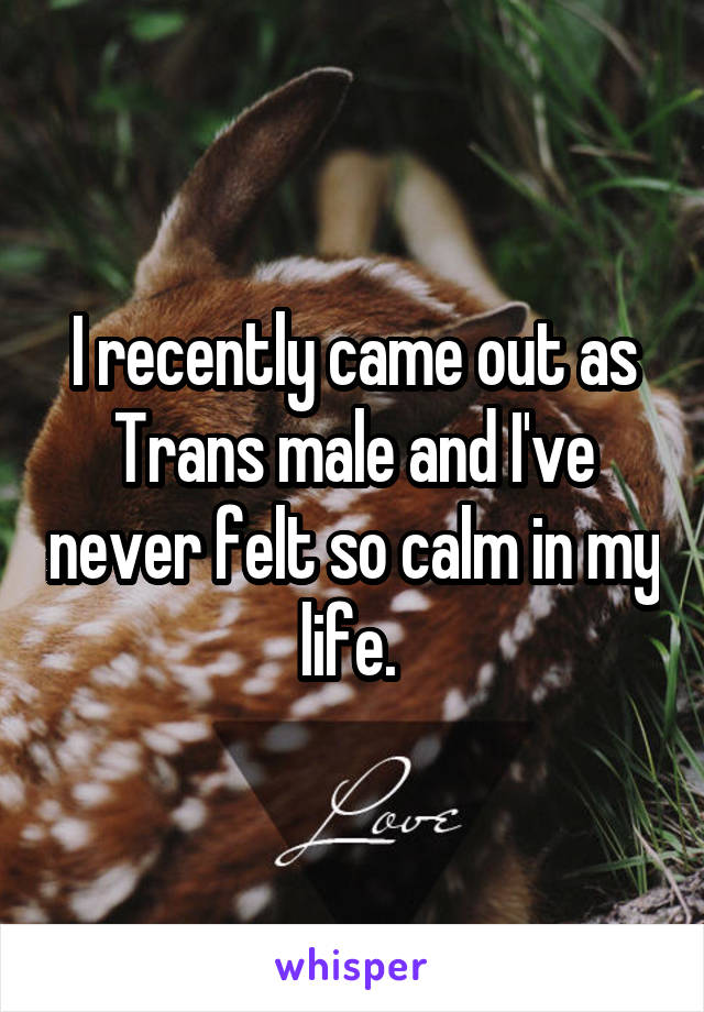 I recently came out as Trans male and I've never felt so calm in my life. 