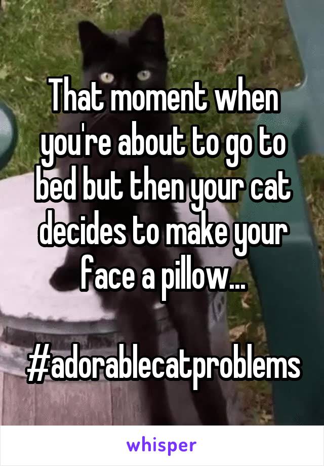 That moment when you're about to go to bed but then your cat decides to make your face a pillow...

#adorablecatproblems