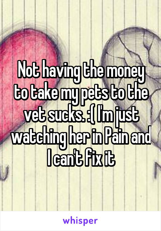 Not having the money to take my pets to the vet sucks. :( I'm just watching her in Pain and I can't fix it