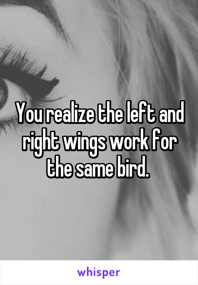 You realize the left and right wings work for the same bird. 