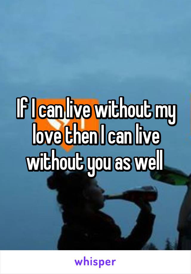 If I can live without my love then I can live without you as well 