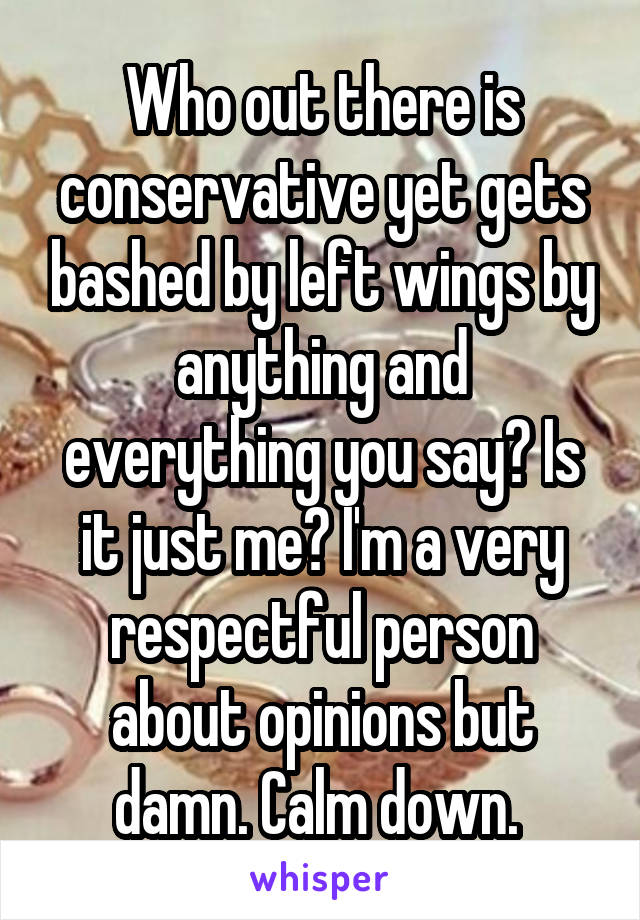 Who out there is conservative yet gets bashed by left wings by anything and everything you say? Is it just me? I'm a very respectful person about opinions but damn. Calm down. 