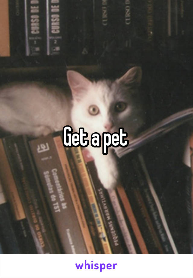 Get a pet 