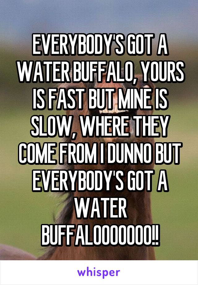 EVERYBODY'S GOT A WATER BUFFALO, YOURS IS FAST BUT MINE IS SLOW, WHERE THEY COME FROM I DUNNO BUT EVERYBODY'S GOT A WATER BUFFALOOOOOOO!!