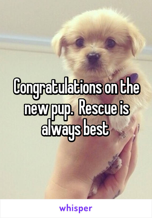 Congratulations on the new pup.  Rescue is always best 