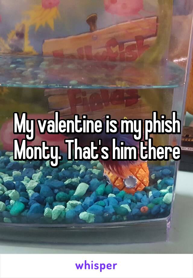 My valentine is my phish Monty. That's him there