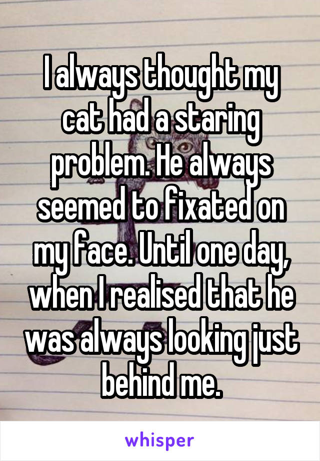 I always thought my cat had a staring problem. He always seemed to fixated on my face. Until one day, when I realised that he was always looking just behind me.