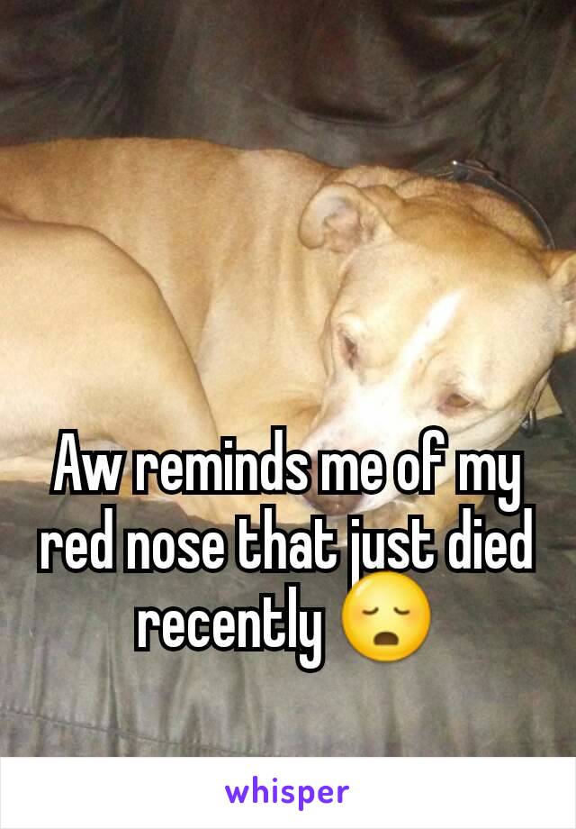 Aw reminds me of my red nose that just died recently 😳