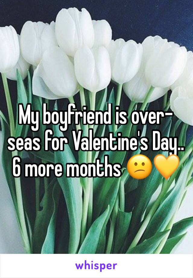 My boyfriend is over-seas for Valentine's Day.. 6 more months 😕💛