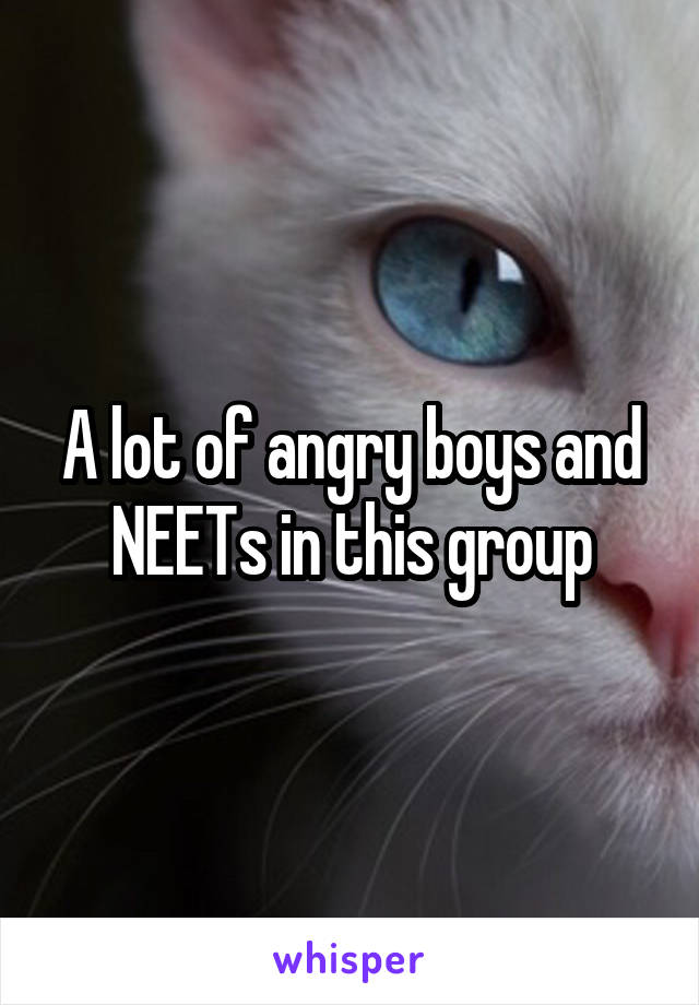 A lot of angry boys and NEETs in this group