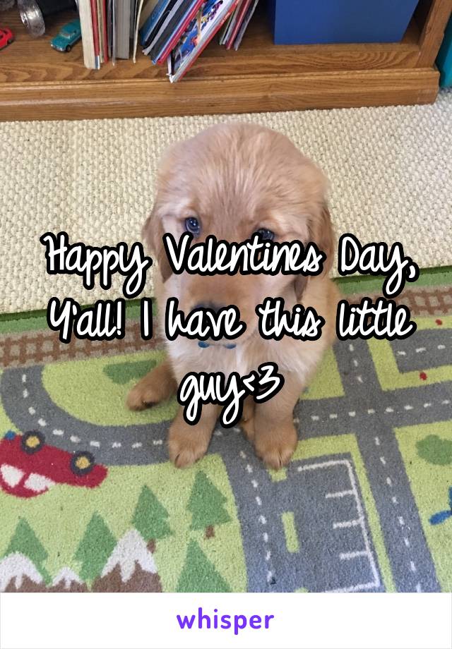 Happy Valentines Day, Y'all! I have this little guy<3