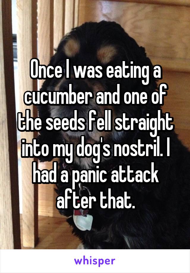 Once I was eating a cucumber and one of the seeds fell straight into my dog's nostril. I had a panic attack after that.