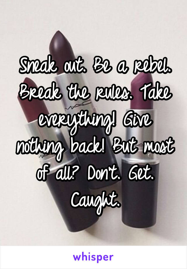 Sneak out. Be a rebel. Break the rules. Take everything! Give nothing back! But most of all? Don't. Get. Caught.