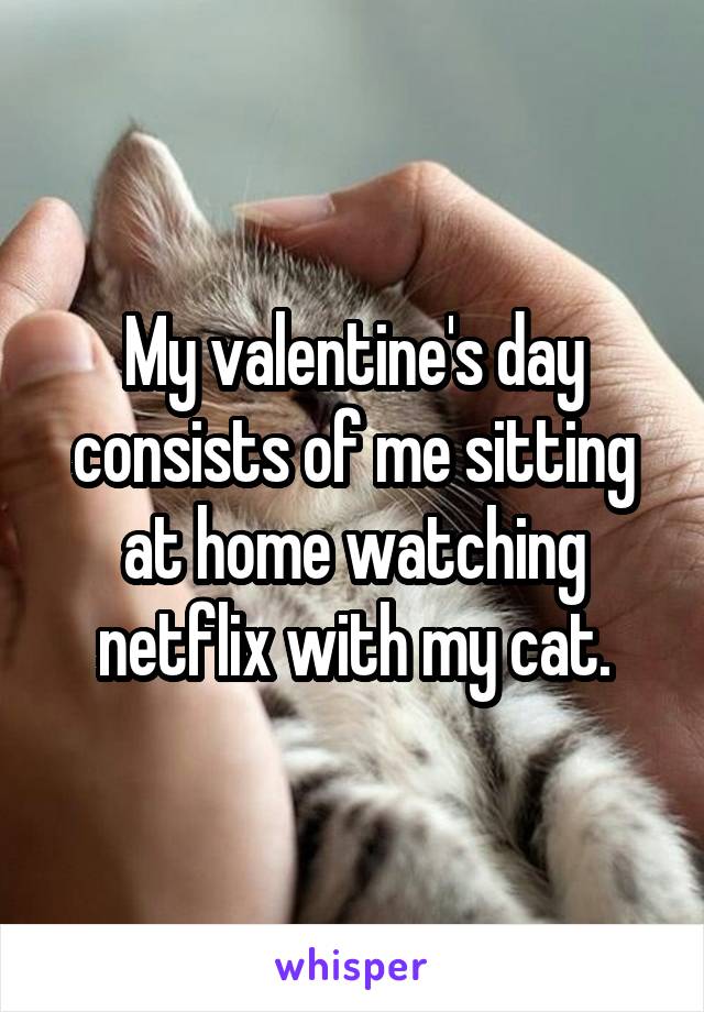 My valentine's day consists of me sitting at home watching netflix with my cat.