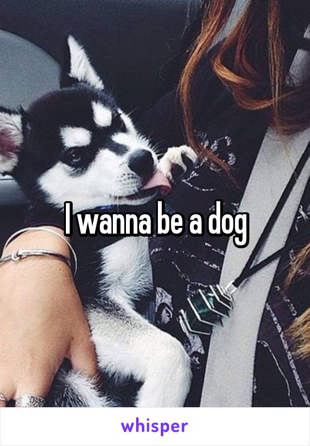 I wanna be a dog