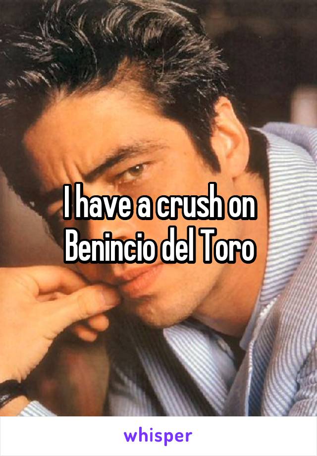 I have a crush on Benincio del Toro