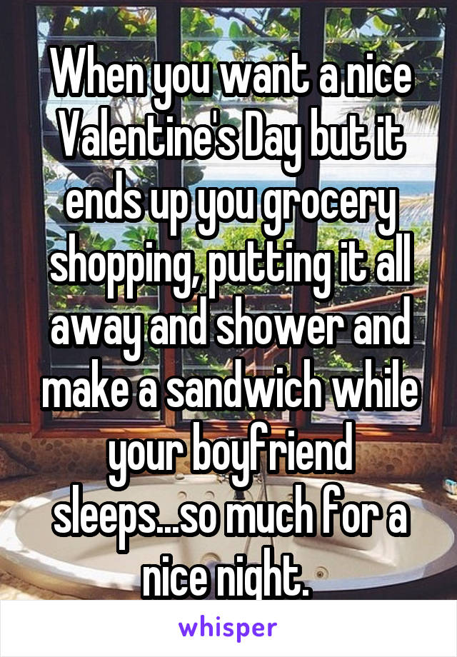 When you want a nice Valentine's Day but it ends up you grocery shopping, putting it all away and shower and make a sandwich while your boyfriend sleeps...so much for a nice night. 