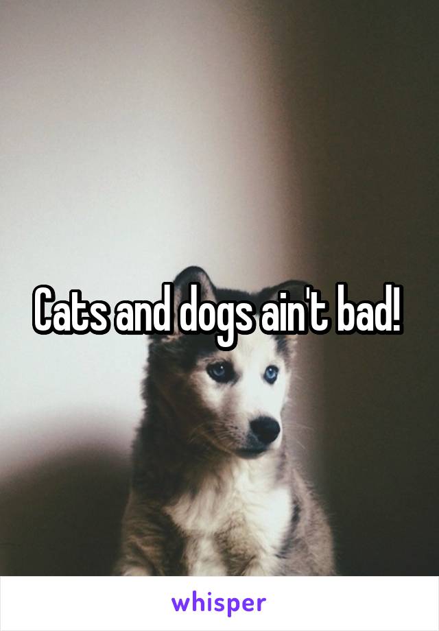 Cats and dogs ain't bad! 